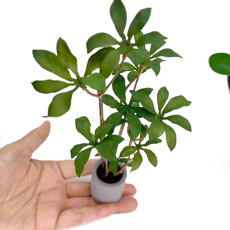 1:6 Dollhouse Miniature Potted - Bonsai Garden Zen recension och pris