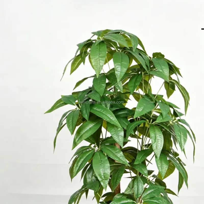 Hot Sale Nordic Style Indoor D - Bonsai Garden For Sale recension och pris