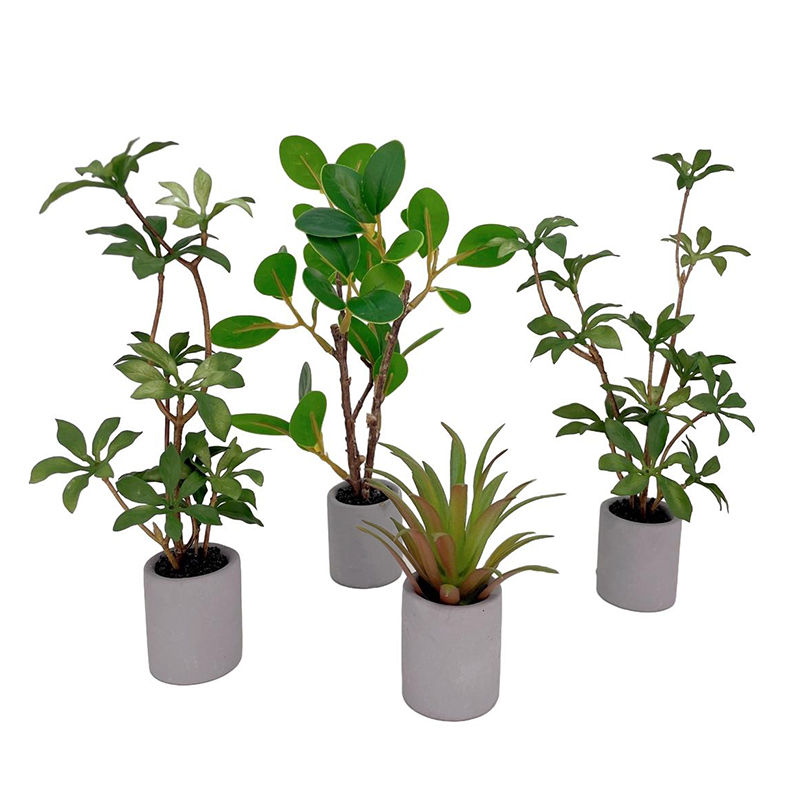 1:6 Dollhouse Miniature Potted - Bonsai Garden Zen recension och pris