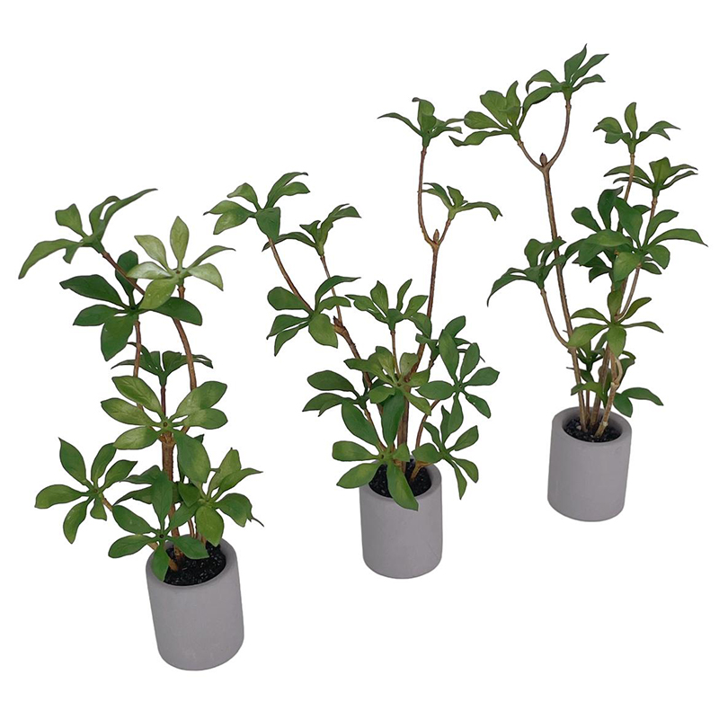 1:6 Dollhouse Miniature Potted - Bonsai Garden Zen recension och pris