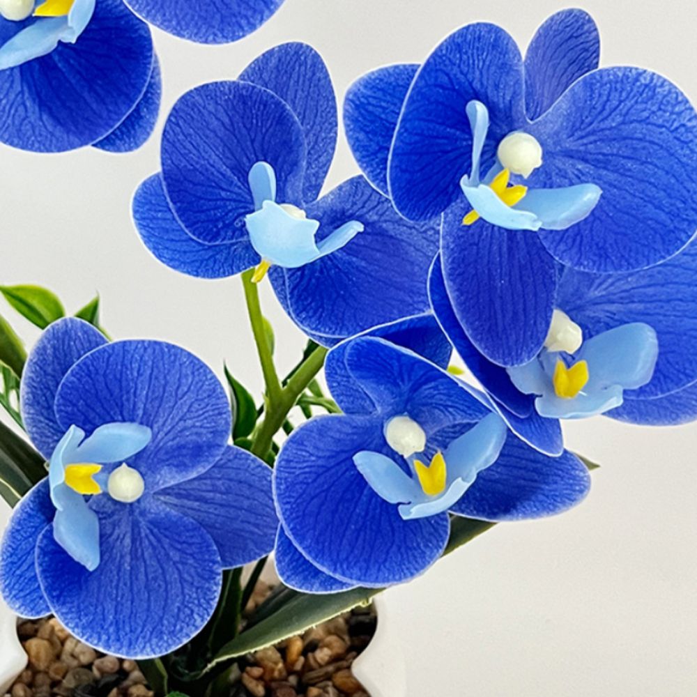 Multi-Bloom Simulated Butterfl - Bonsai Garden Zen recension och pris