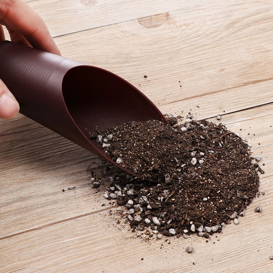 1PC Plastic Soil Shovel Cup Fo - Bonsai Garden Zen recension och pris